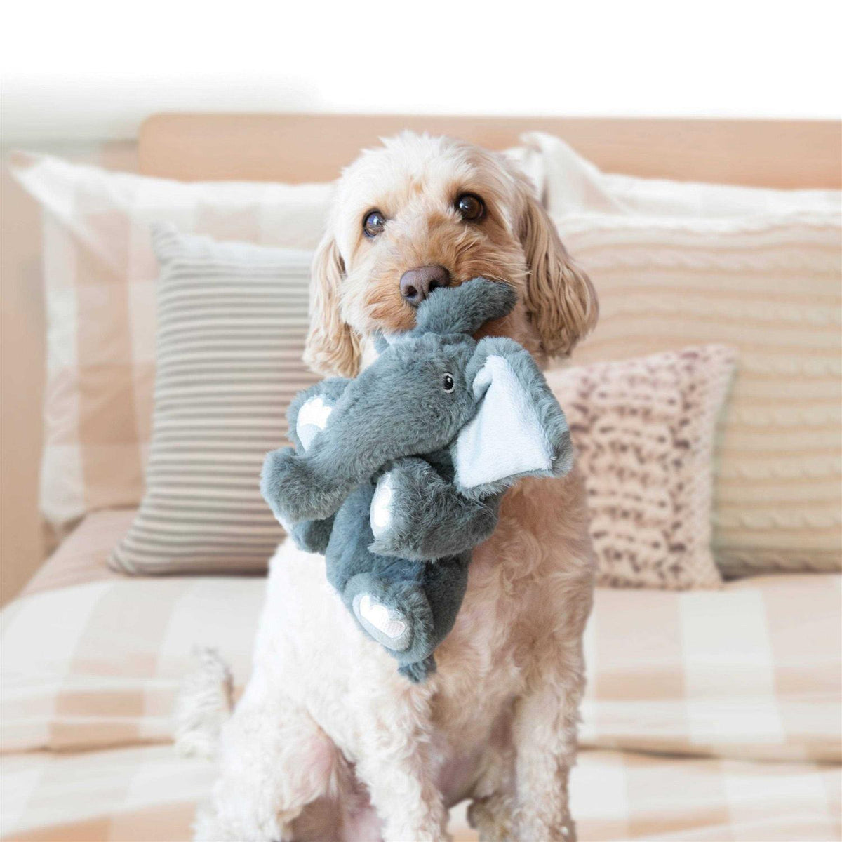 Bear Dog Toy D620