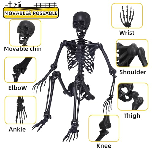 5.4Ft Posable Skeleton with Movable Joints and 2PC Black Feathered Crows U704901