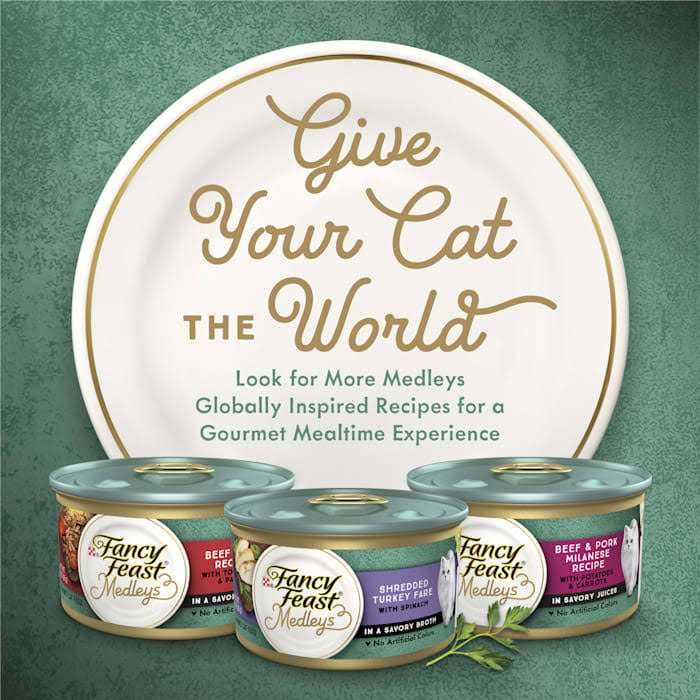 Wet Cat Food A20610