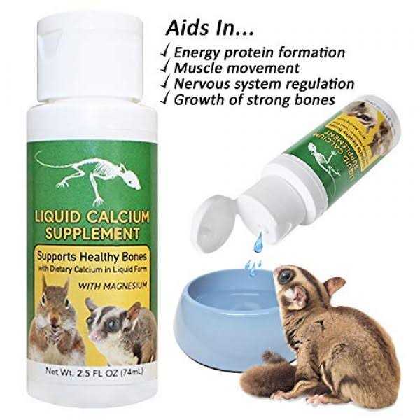 Liquid Calcium Supplement 2 oz P7703