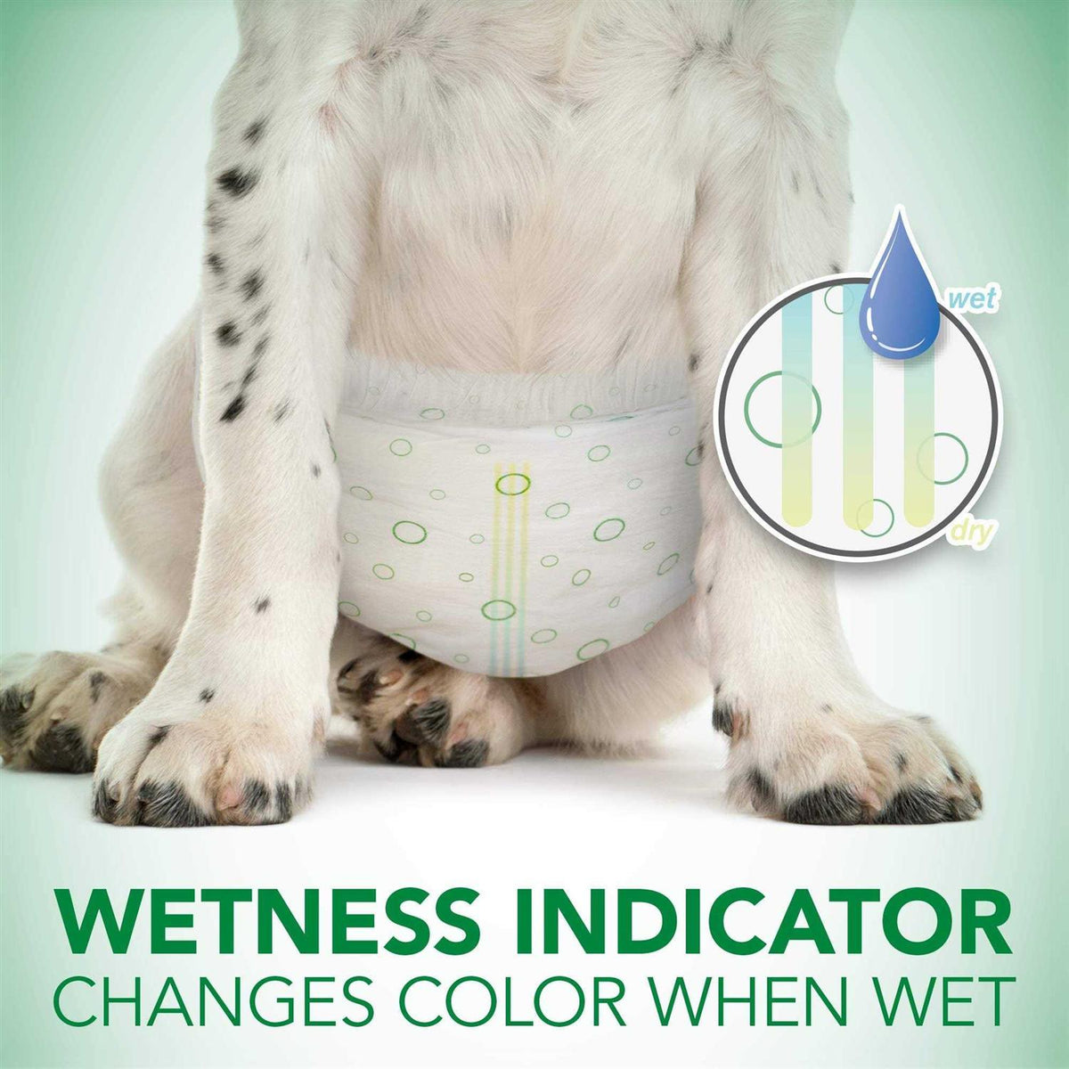 Disposable Female Dog Diapers U734426