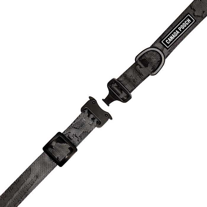 Utility Dog Collar S17778