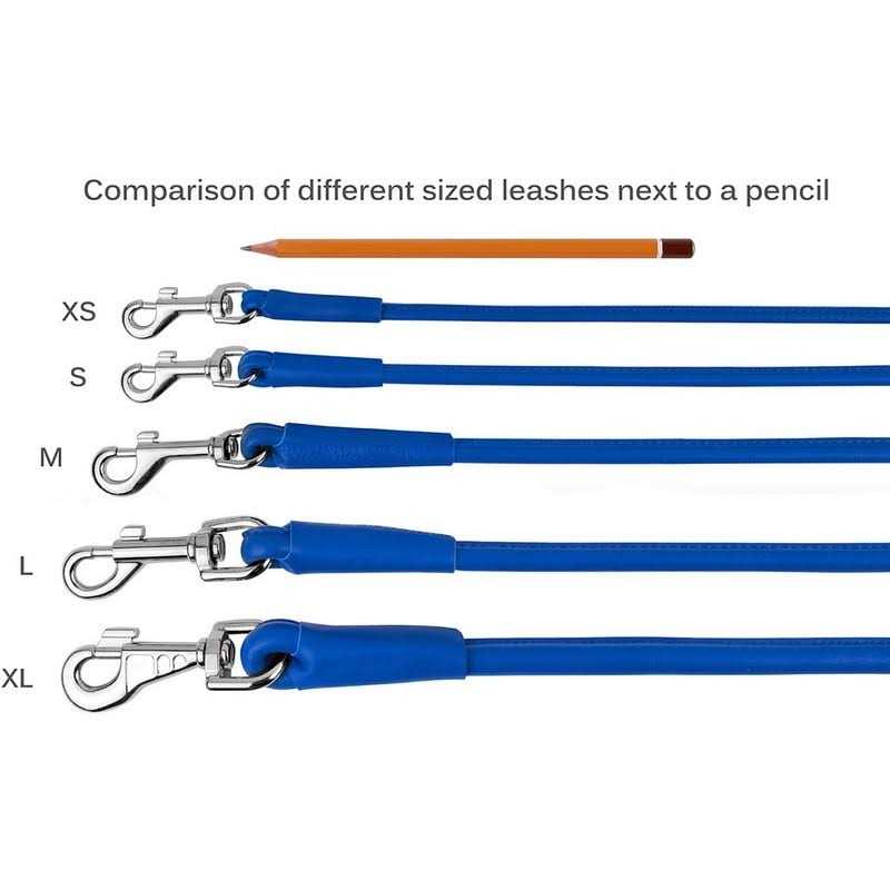 Rolled Leather Dog Leash M46244