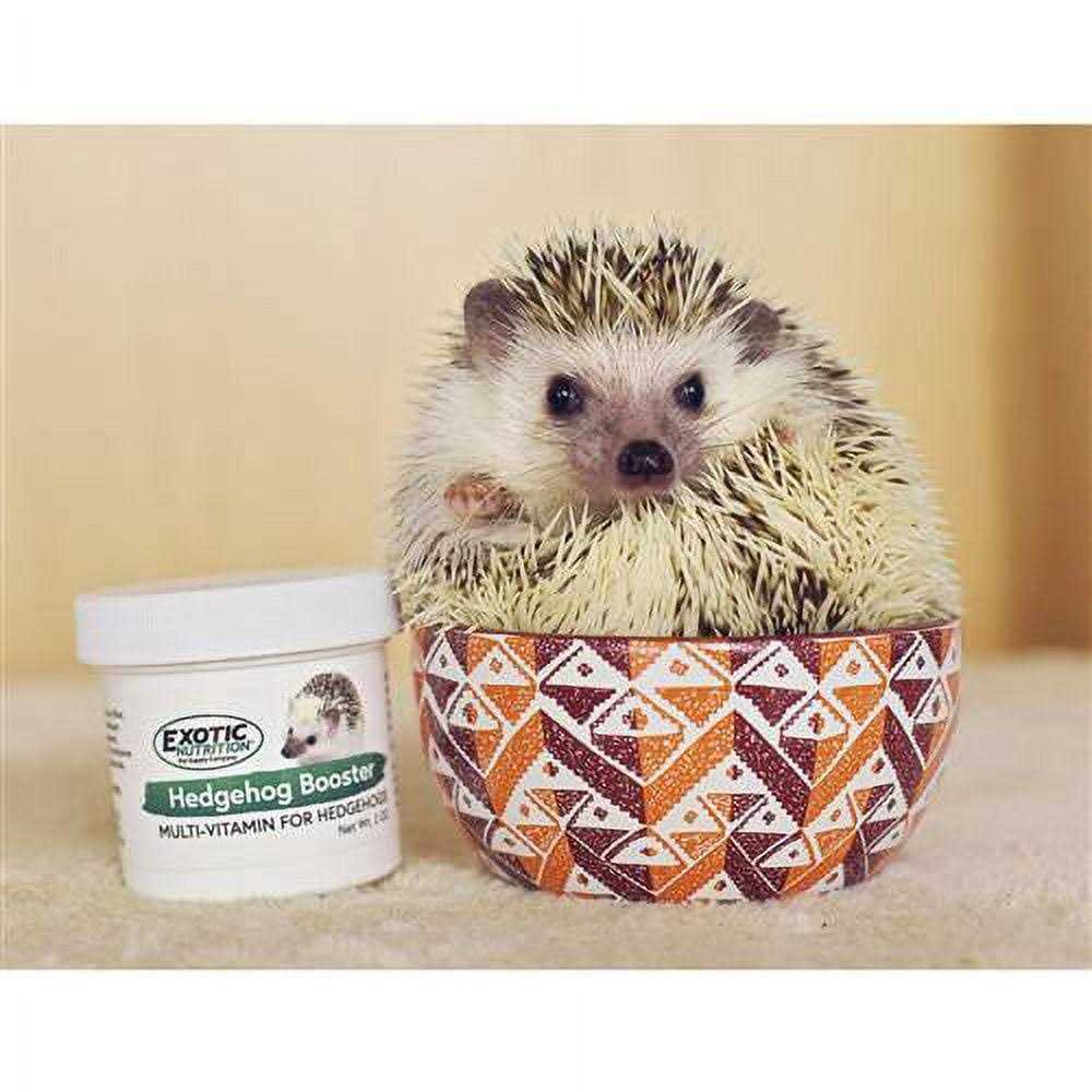 Hedgehog Home & Starter Package Cage X75402