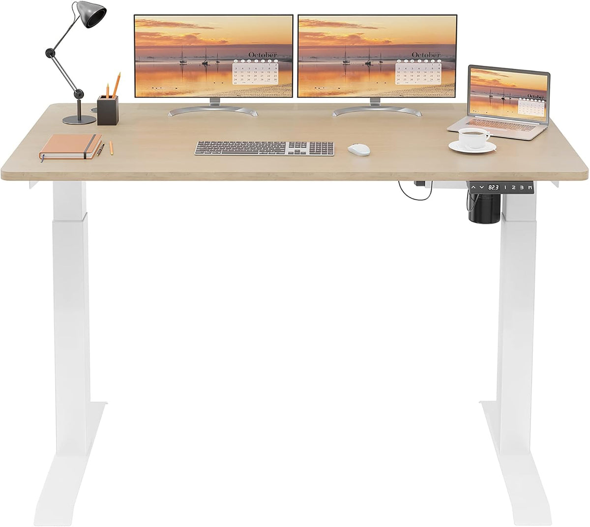 Height Adjustable Electric Standing Desk 48 x 24 E635
