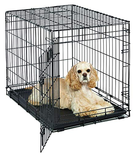 42-Inch Folding Dog Crate with Divider Panel U34517