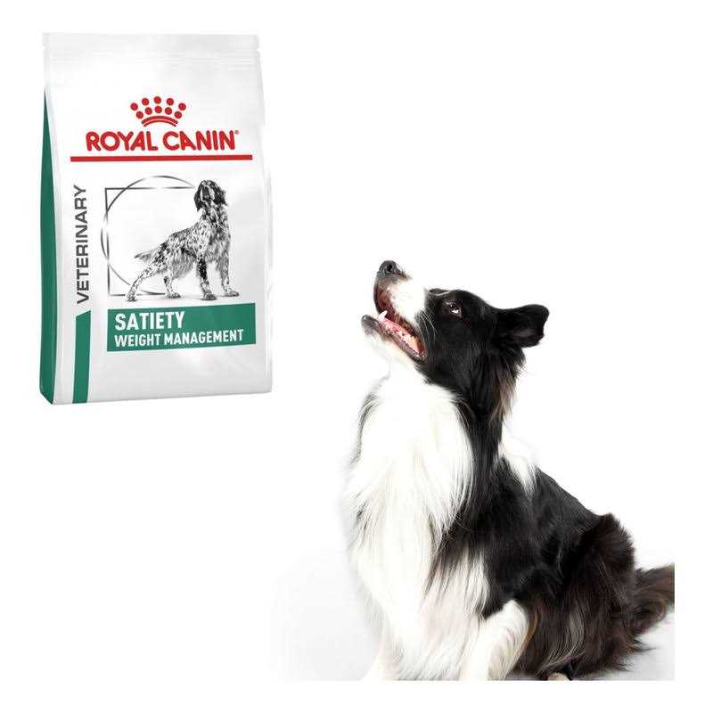 Veterinary Diet Satiety Support Dry Dog Food Y71032