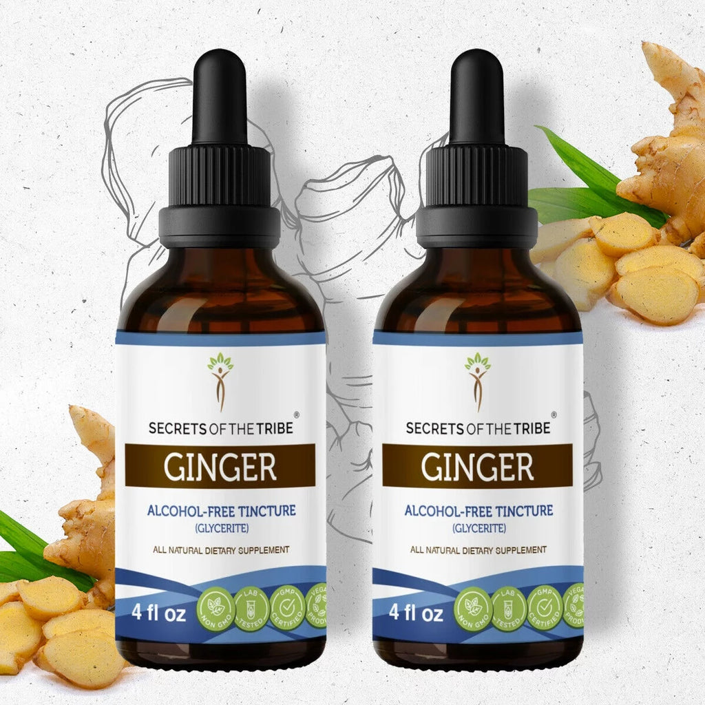 Organic Ginger Zingiber officinale Extract 2x4 oz W961