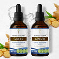 Organic Ginger Zingiber officinale Extract 2x4 oz W961