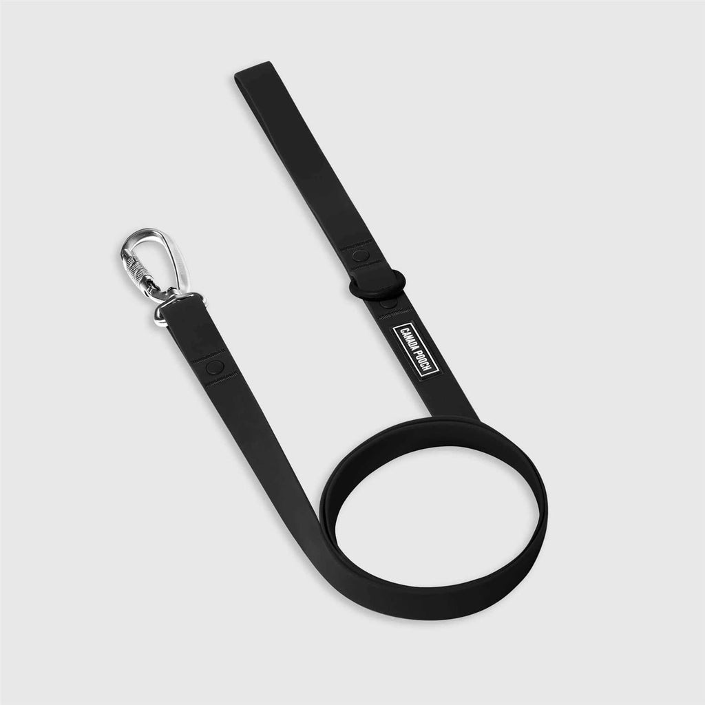 Utility Dog Collar S17778