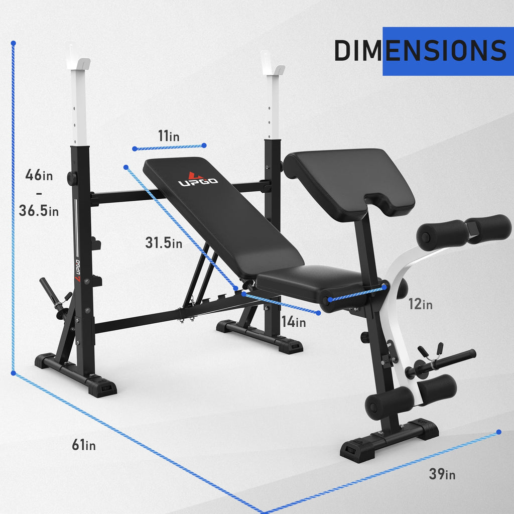 Standard Weight Bench with Preacher Curl Pad and Leg Developer K278897