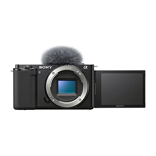 Black Mirrorless Camera Body R542