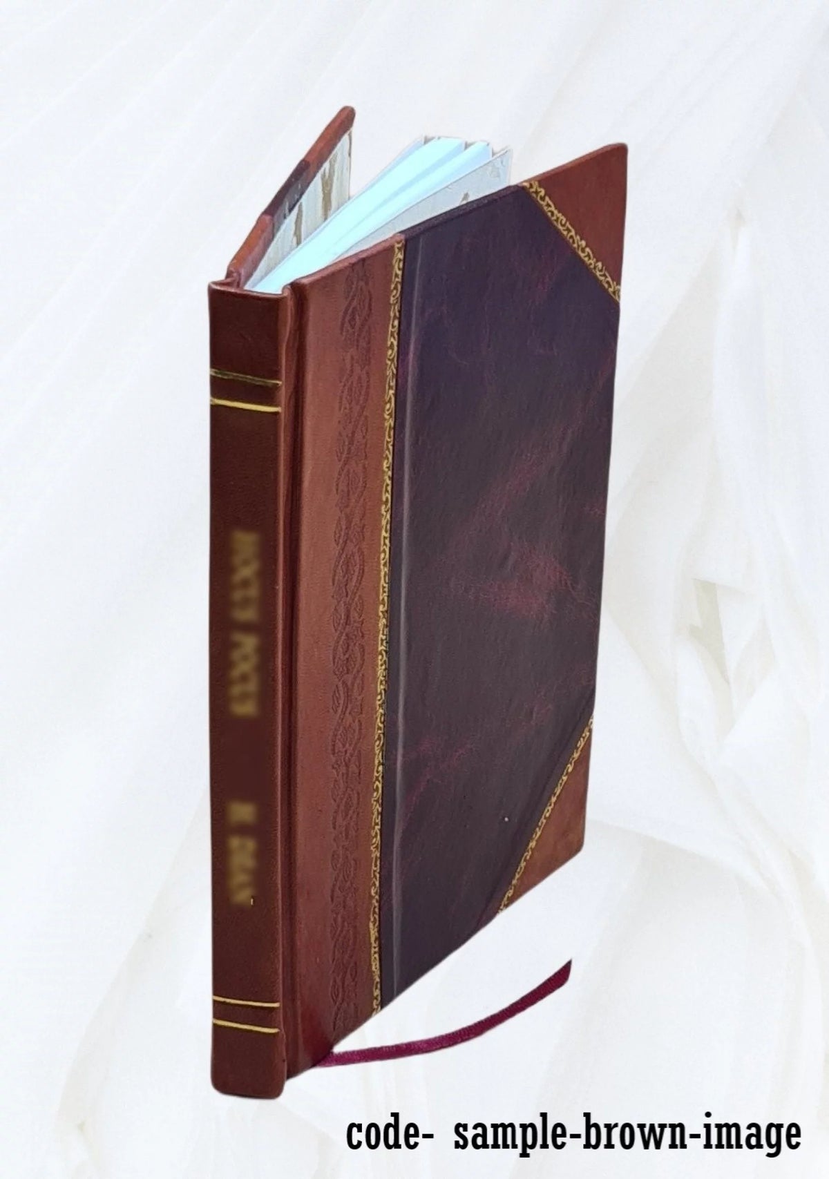 History and Rhymes of the Lost Battalion Leather Bound M73019