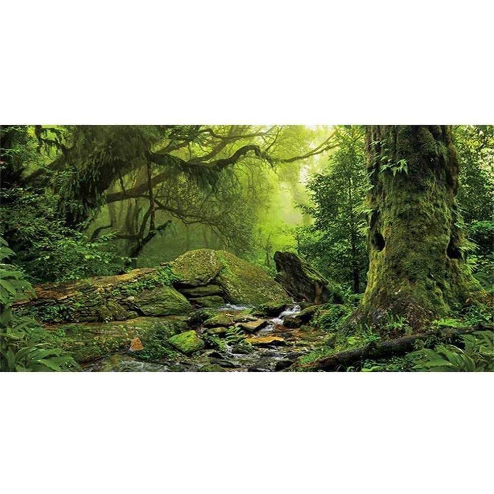 Foggy Forest Reptile Habitat Background D1652