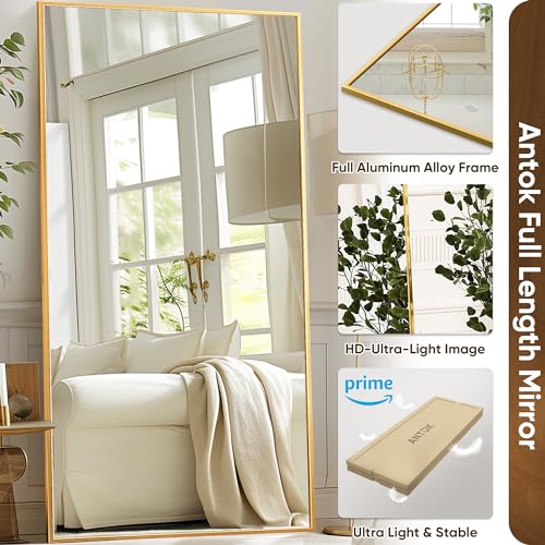 71"x28" Black Full Length Floor Mirror with Stand Y712