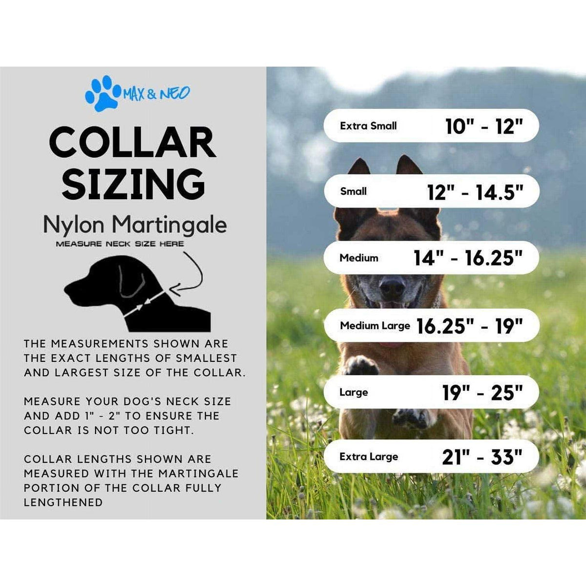 Nylon Martingale Collar D240474