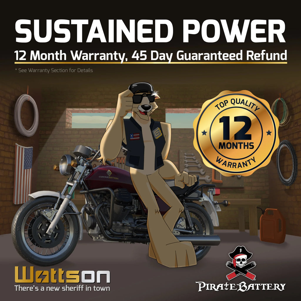 12 Volt 12 Ah 210 CCA Motorcycle Battery K880669