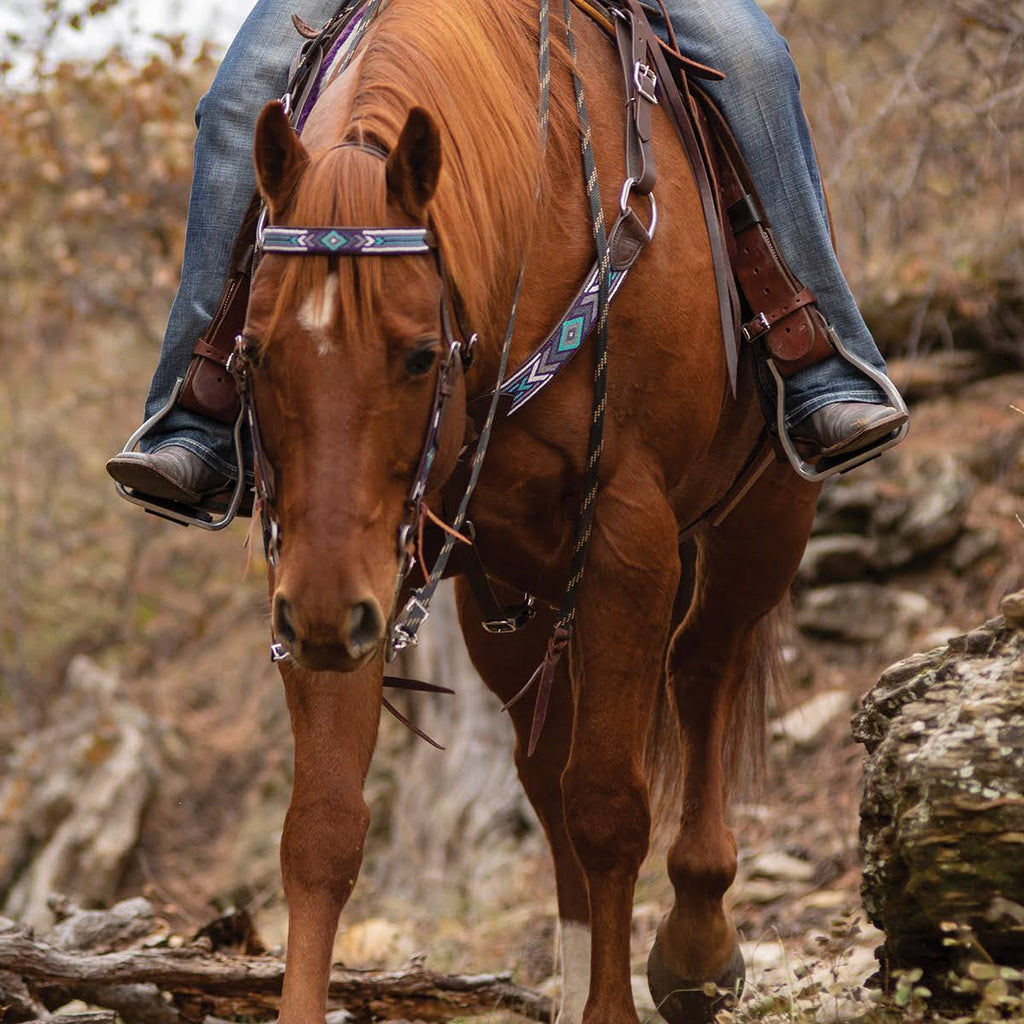 Beaded Browband Headstall X301