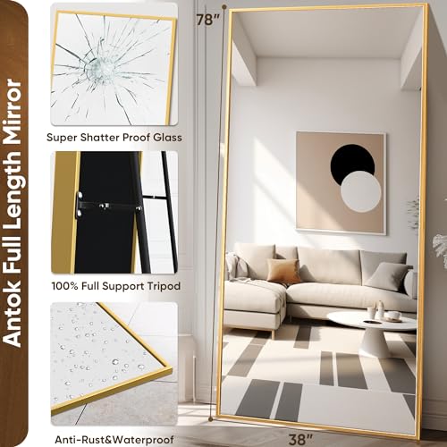 71"x28" Black Full Length Floor Mirror with Stand Y712