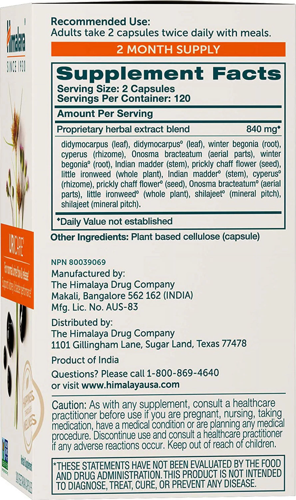 240 Capsules Vegetarian Gluten Free Herbal Supplement O25131