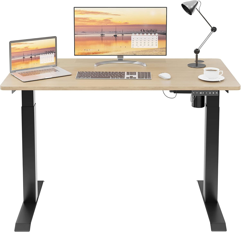 Height Adjustable Electric Standing Desk 48 x 24 E635