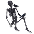 5.4Ft Posable Skeleton with Movable Joints and 2PC Black Feathered Crows U704901