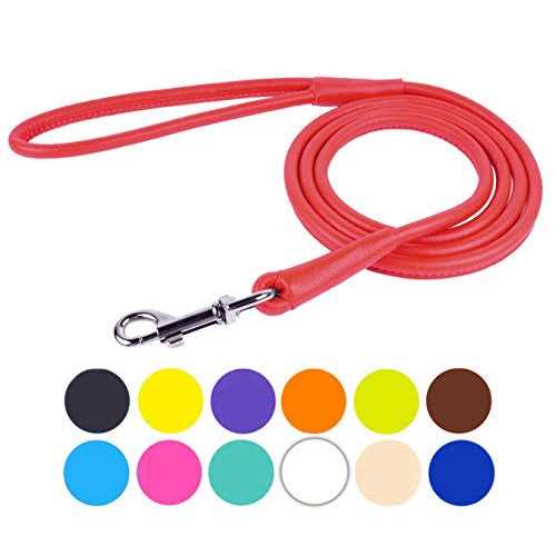 Rolled Leather Dog Leash M46244