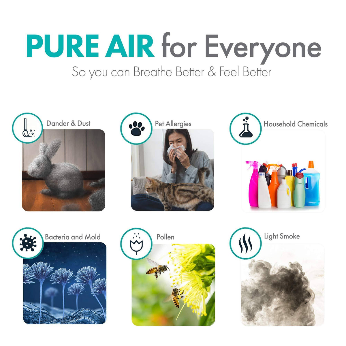 HEPA-Silver Air Purifier C470