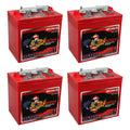 6V Deep Cycle Battery 4 Pack R12498