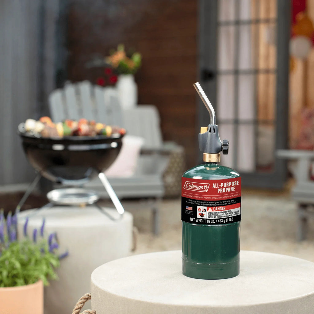 16 ounce 2-Pack Propane Gas Cylinder K86796