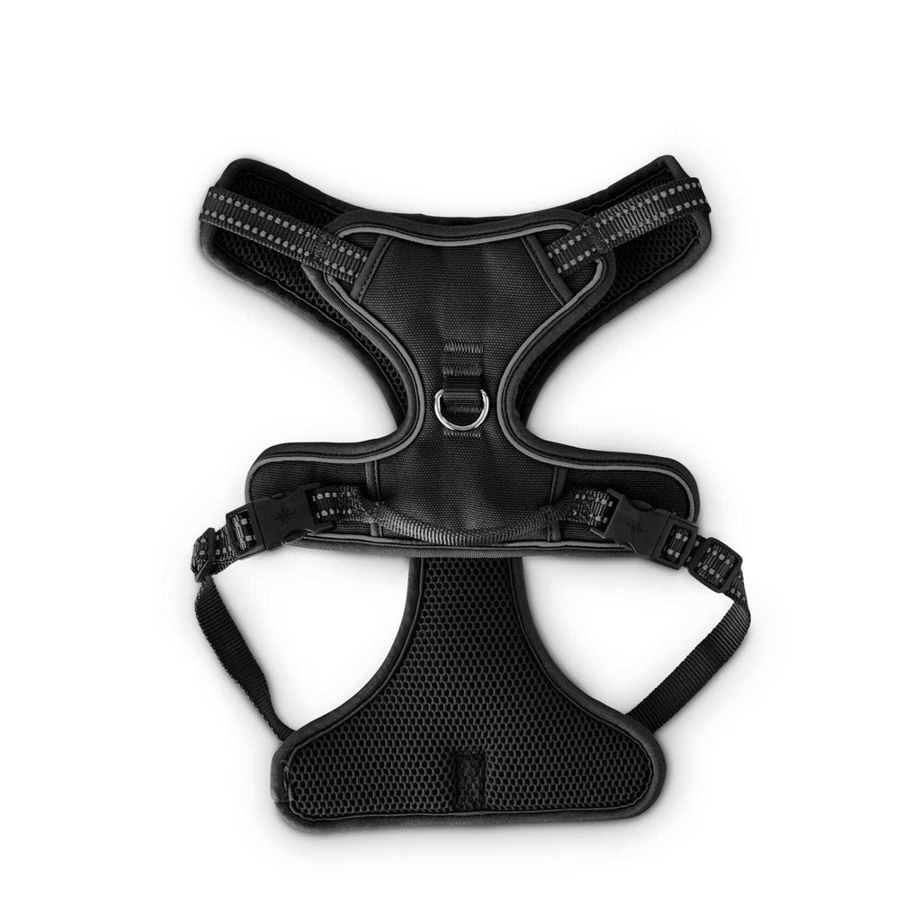 Black Front Walking Dog Harness L705549