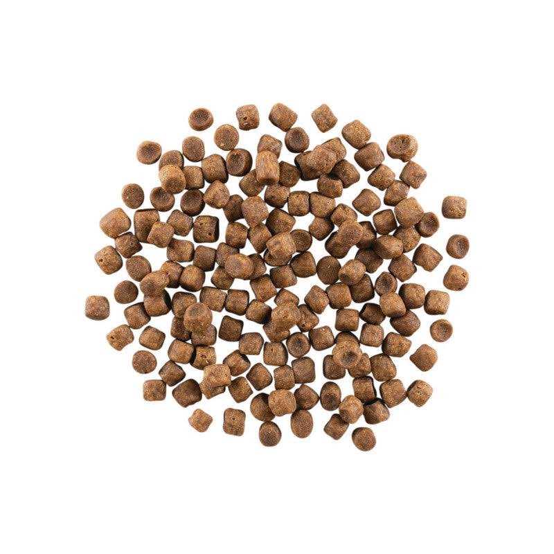 Grain Free Chicken Turkey Pet Food L8613