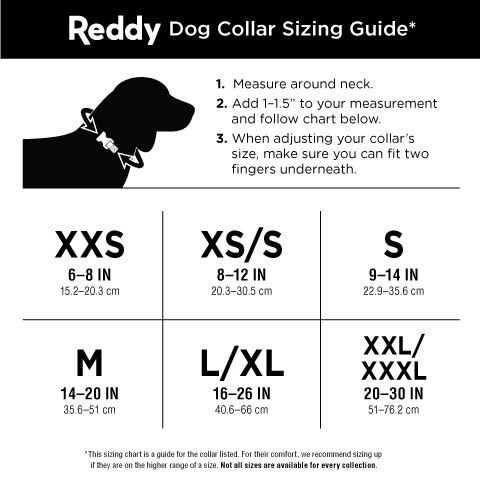 Webbed Dog Collar Q3680