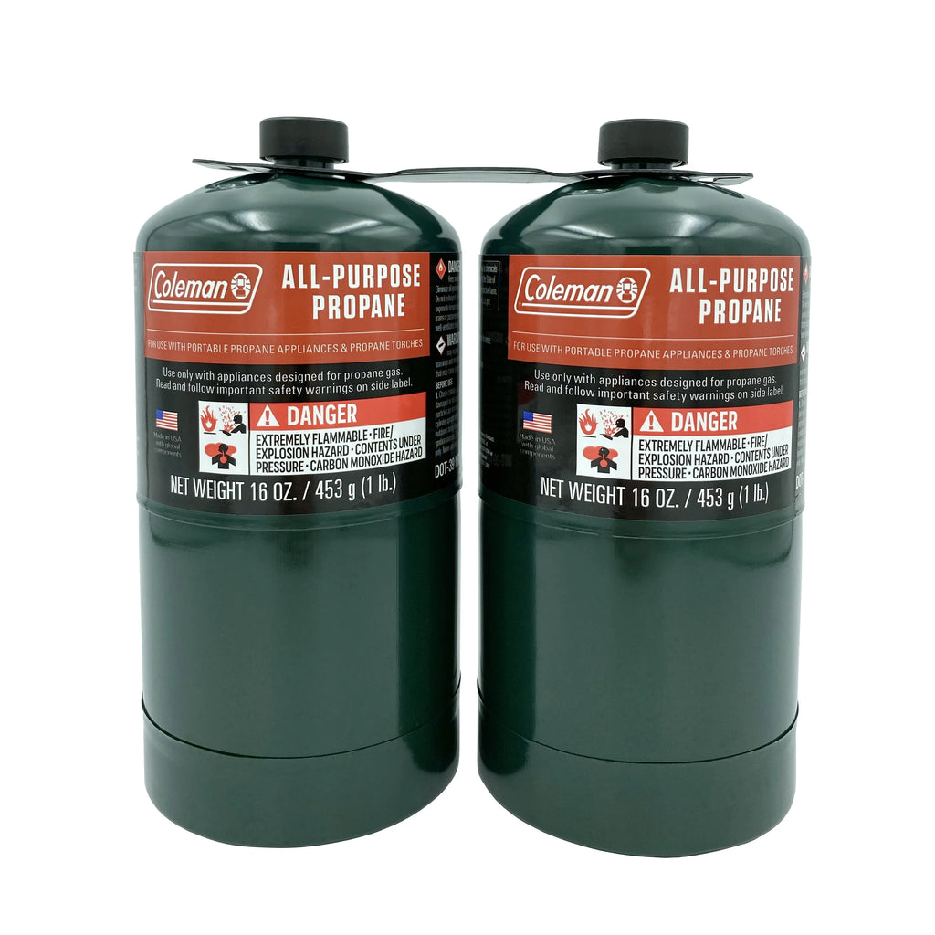 16 ounce 2-Pack Propane Gas Cylinder K86796