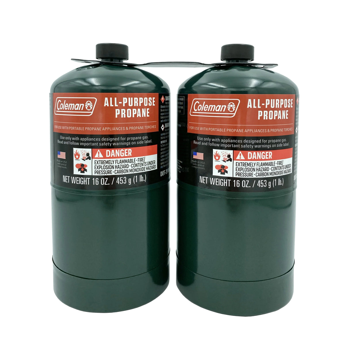 16 ounce 2-Pack Propane Gas Cylinder K86796