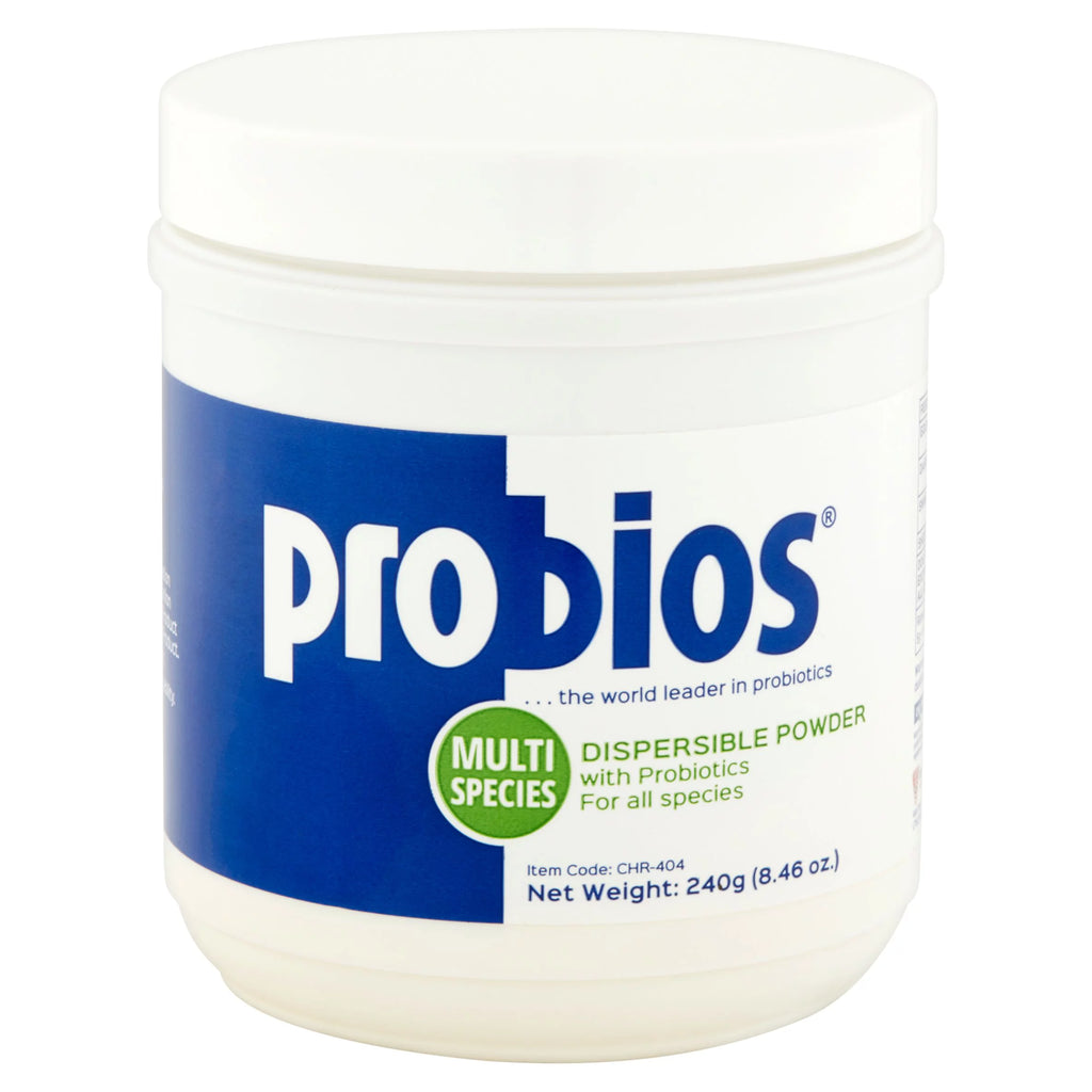 Probiotic Powder 240G R5355