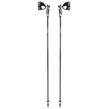 Carbon Ski Poles W251