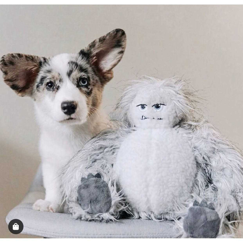 Mythical Dragon Dog Toy P181514