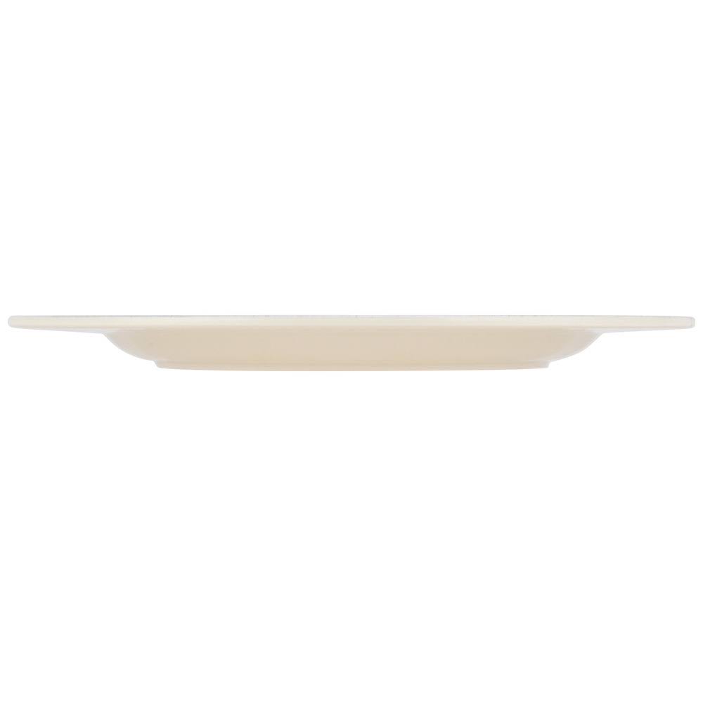Melamine Dinner Plate M23677