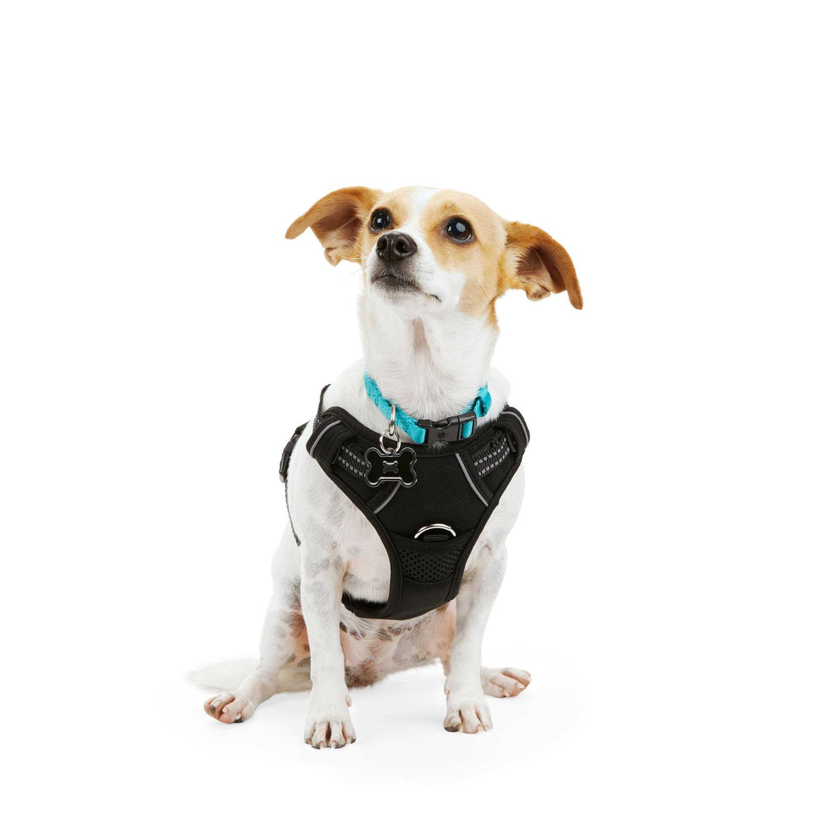 Black Front Walking Dog Harness L705549