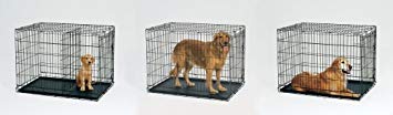 42-Inch Folding Dog Crate with Divider Panel U34517