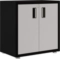 Steel Cabinet with Two Doors D5262