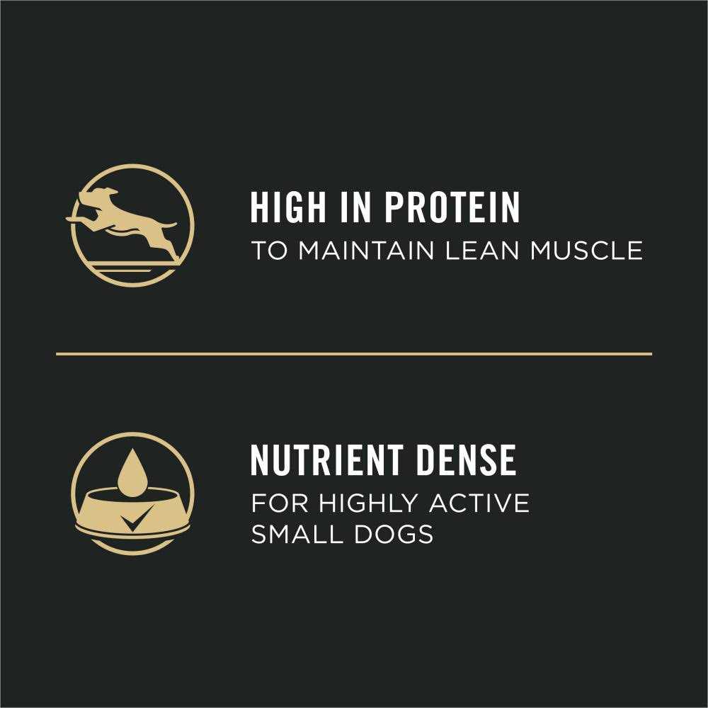 Adult Wet Dog Food S456