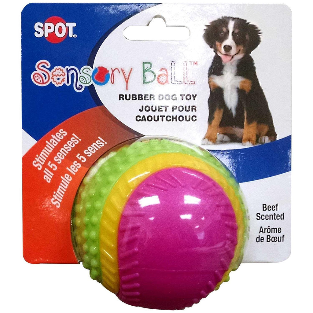 Sensory Ball Dog Toy E2869