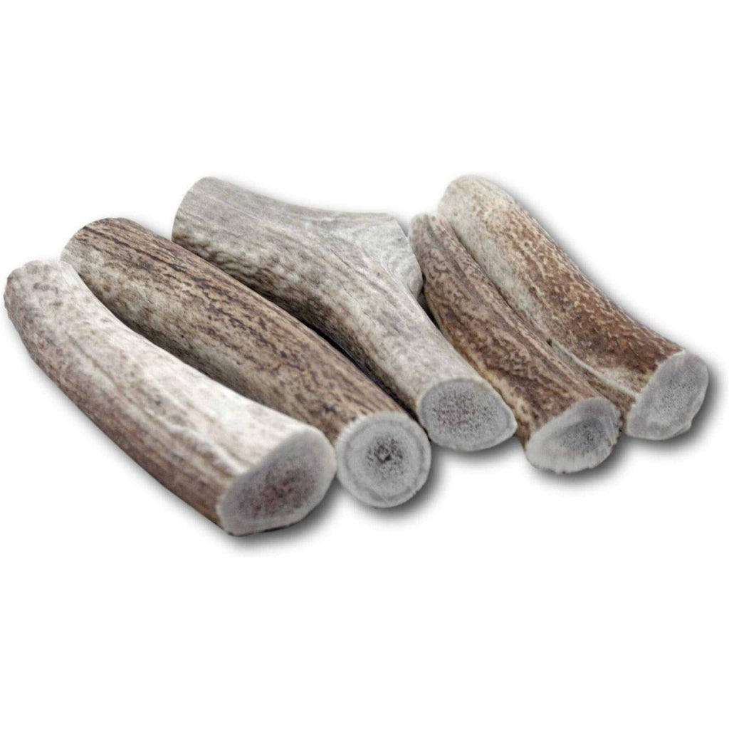 Large Thick Elk Antler 5 Pack Dog Chew Treat X8126