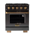 30 4.2 cu. ft. Dual Fuel Range in Titanium Stainless Steel K695228