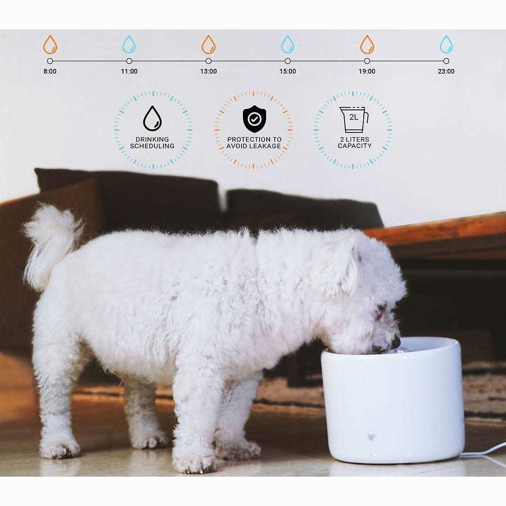 Smart Pet Water Fountain O296026