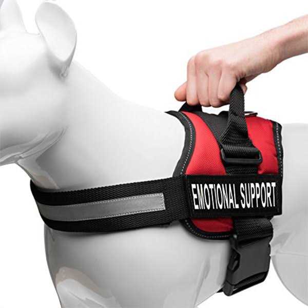 Reflective Dog Vest Harness B25851