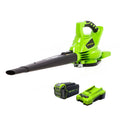 Cordless Blower/Vacuum N883