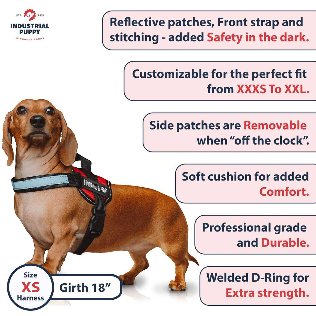 Reflective Dog Vest Harness B25851